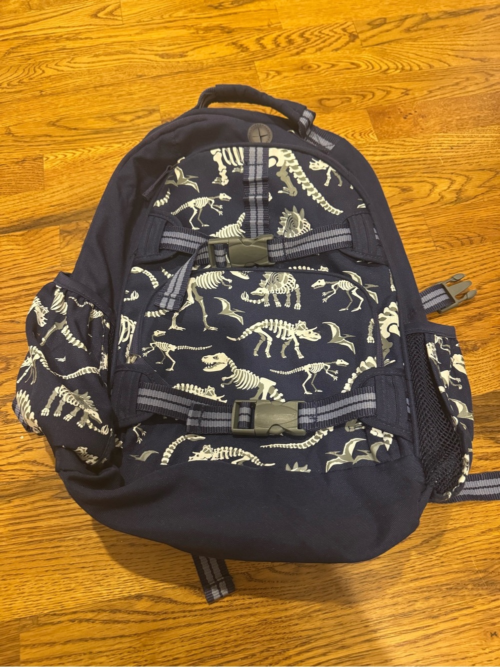 Pottery barn kids dinosaur backpack